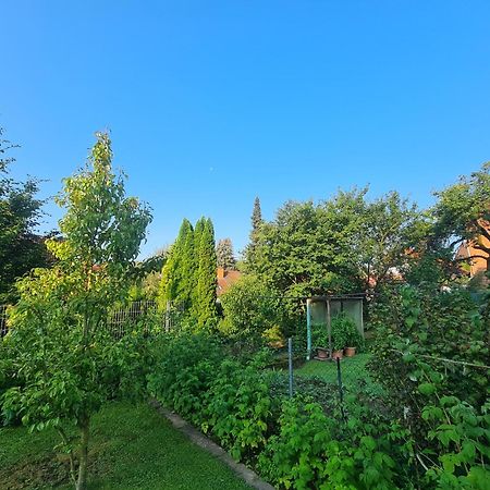 Apartamento Suedharzperle Bad Lauterberg Exterior foto